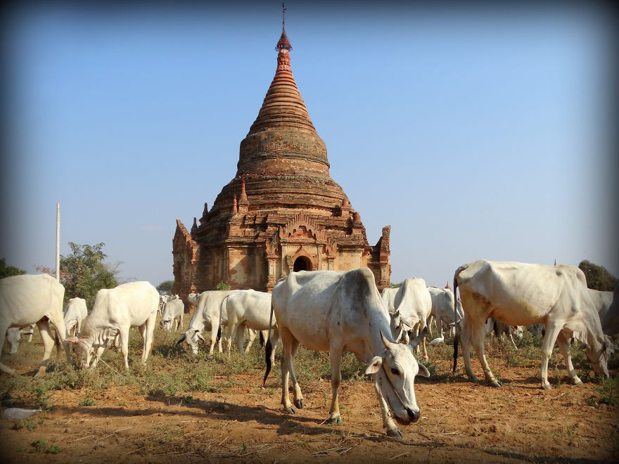 I Photograph My Trips Hoping That It Will Inspire People To Travel