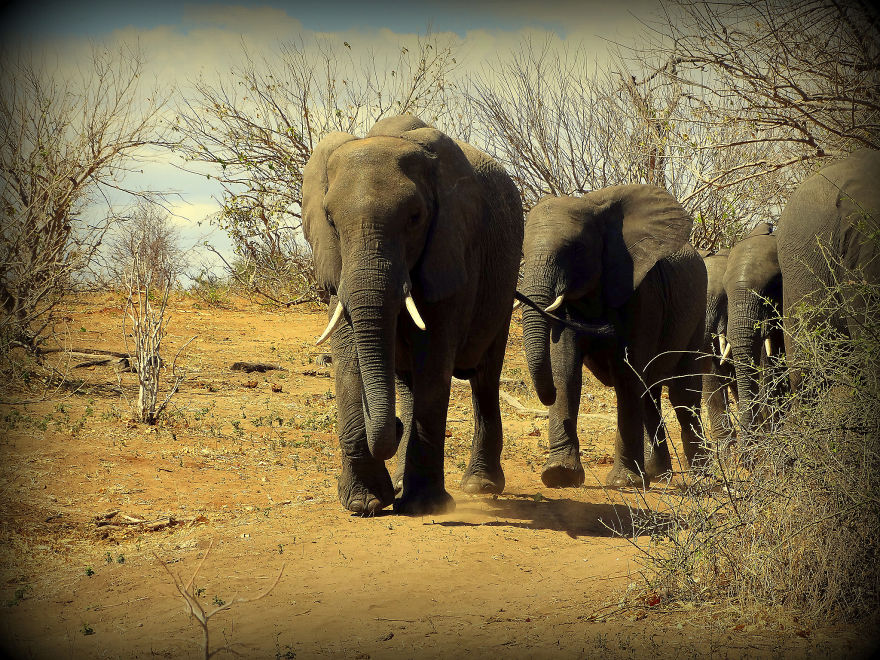 I Photograph My Trips Hoping That It Will Inspire People To Travel