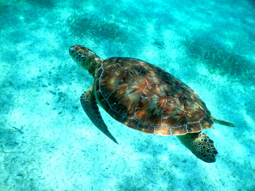 I Photograph My Trips Hoping That It Will Inspire People To Travel