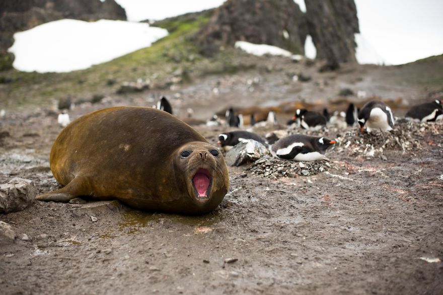 I Sailed Across The 'World's Most Dangerous Sea' To Capture Stunning Images Of Antarctica I Sailed Across The 'World's Most Dangerous Sea' To Capture Stunning Images Of Antarctica