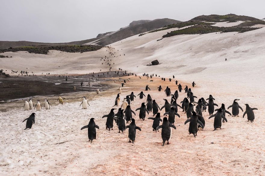 I Sailed Across The 'World's Most Dangerous Sea' To Capture Stunning Images Of Antarctica