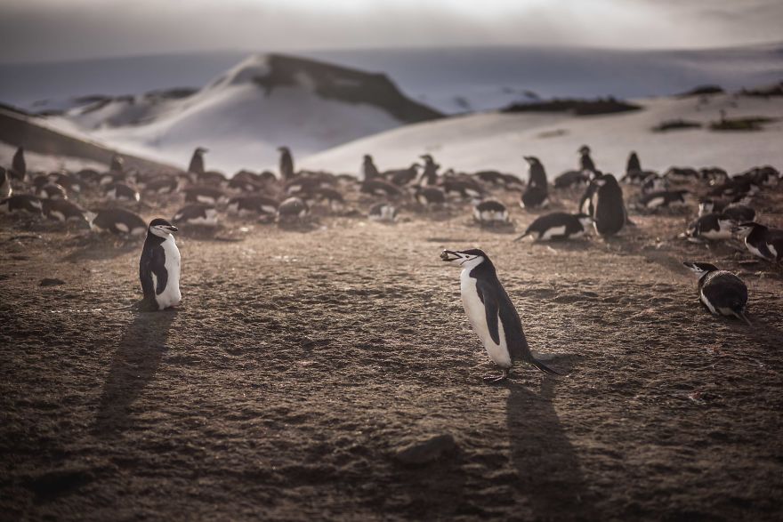 I Sailed Across The 'World's Most Dangerous Sea' To Capture Stunning Images Of Antarctica