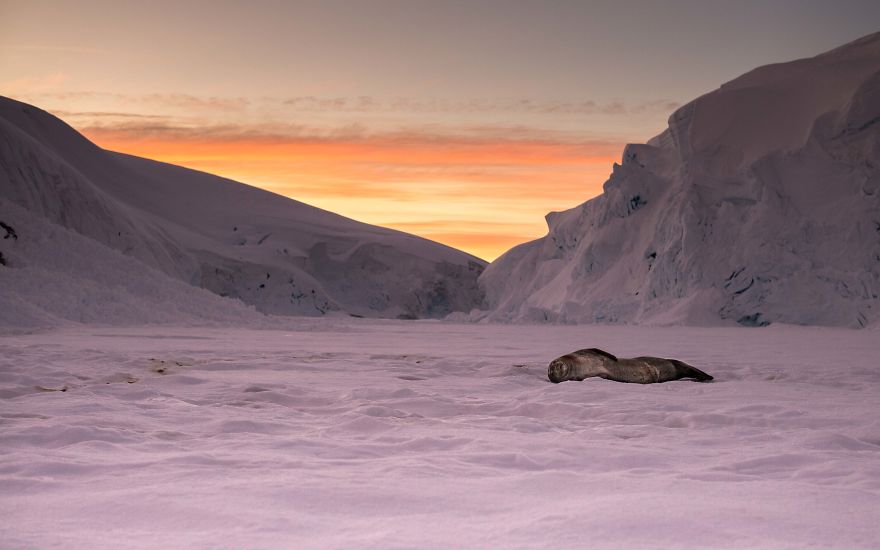 I Sailed Across The 'World's Most Dangerous Sea' To Capture Stunning Images Of Antarctica