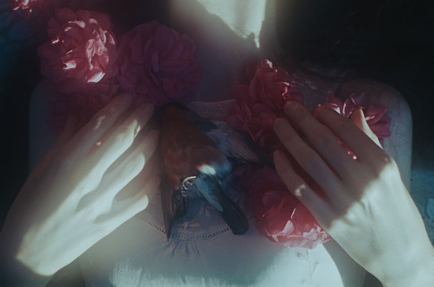 Death In This Land Is Liberating Death In This Land Is Liberating