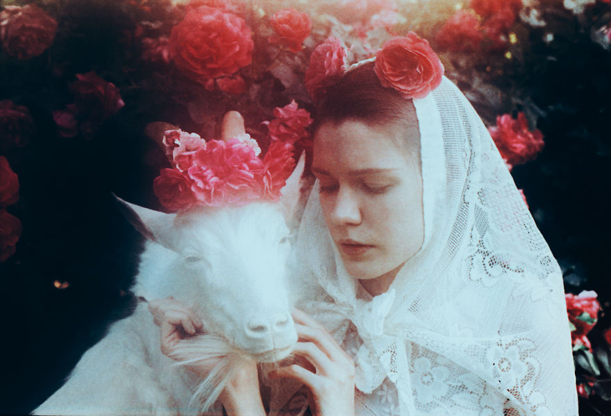 Death In This Land Is Liberating Death In This Land Is Liberating