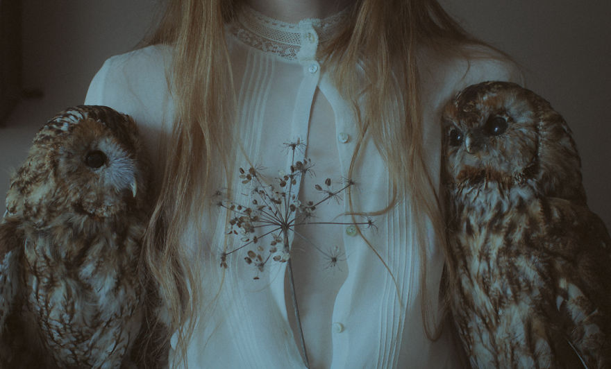 Death In This Land Is Liberating Death In This Land Is Liberating