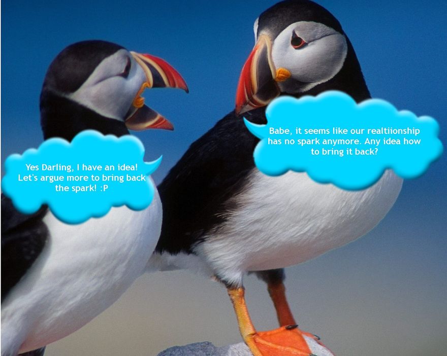 Light My Fire (couple Talk)