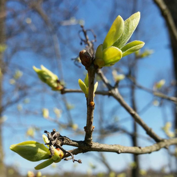 When Nature Blooms So Does People - Latvia