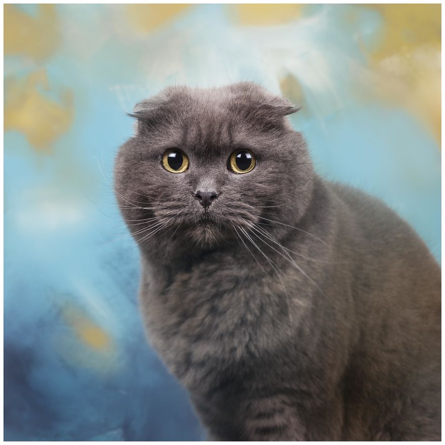 Photographer Creates Colourful Portraits Of Various Animals