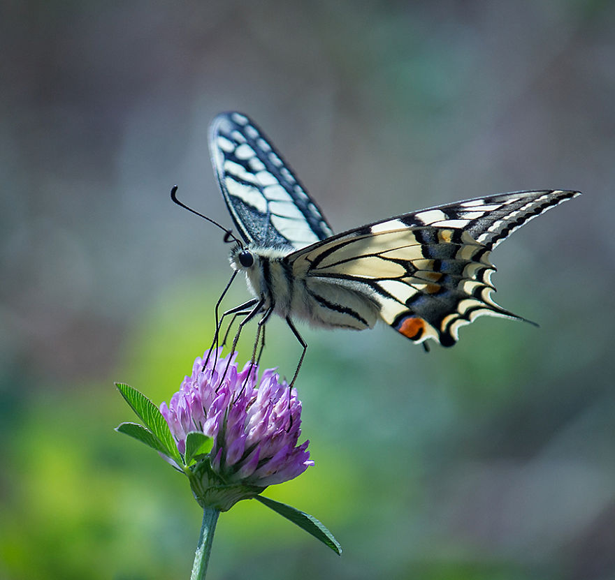 I Photograph The Beautiful Nature Of Poland