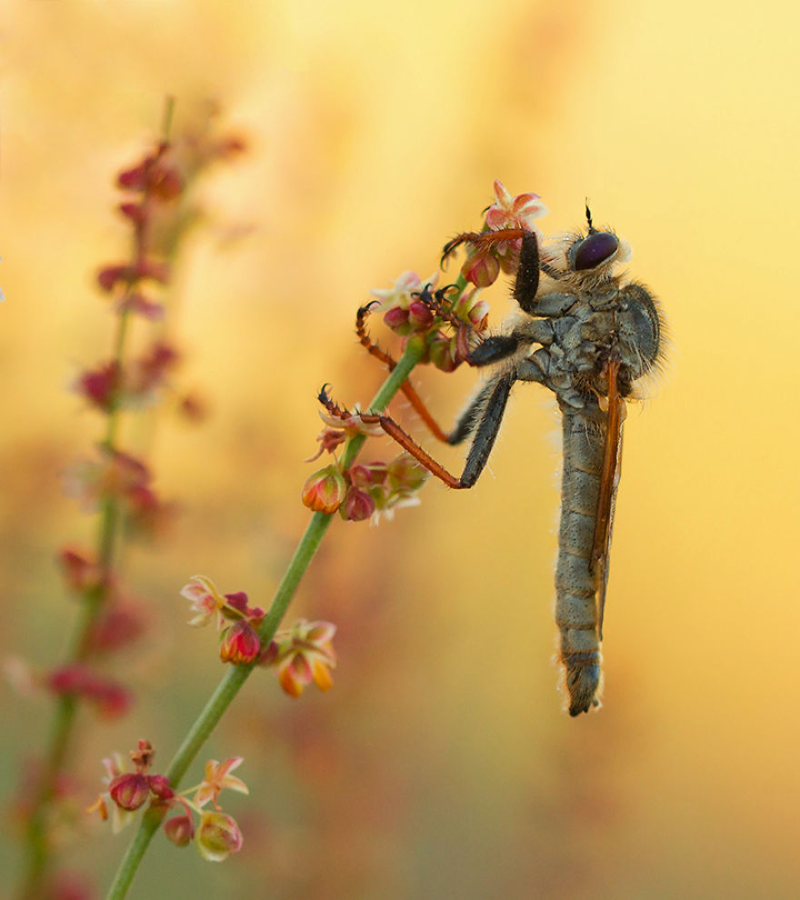 I Photograph The Beautiful Nature Of Poland