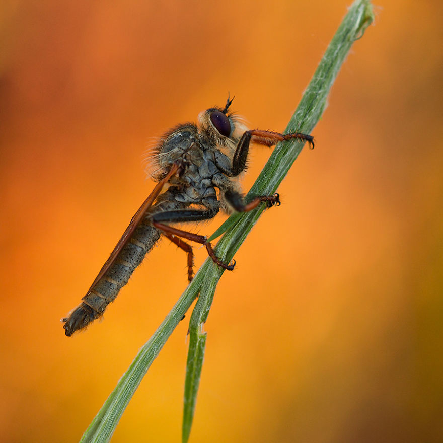 I Photograph The Beautiful Nature Of Poland