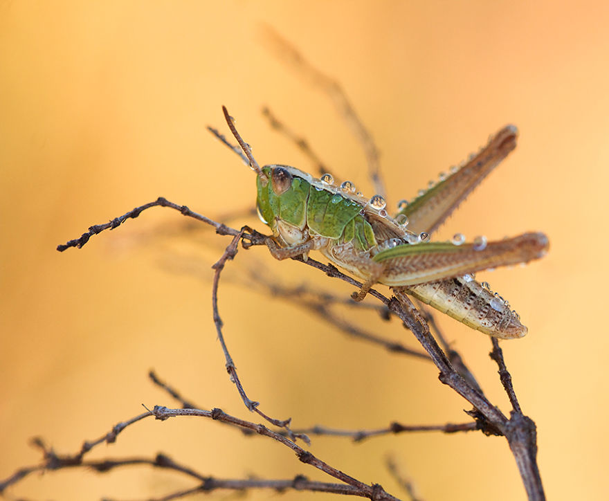 I Photograph The Beautiful Nature Of Poland