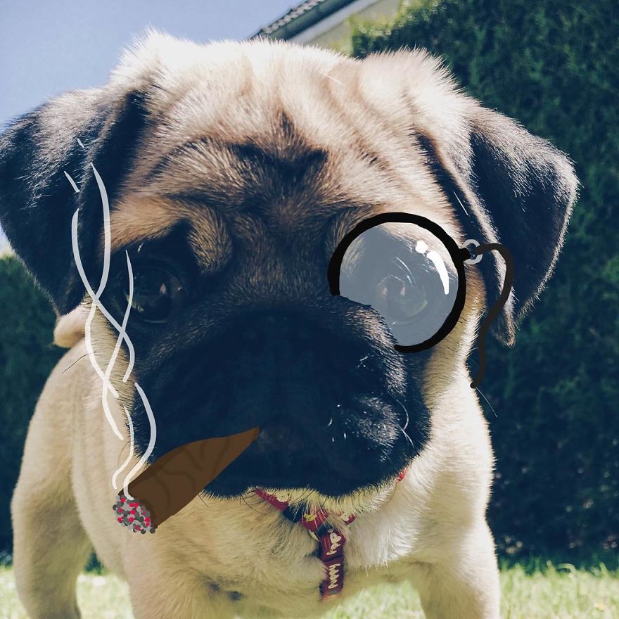 So Young Yet So Well Mannered