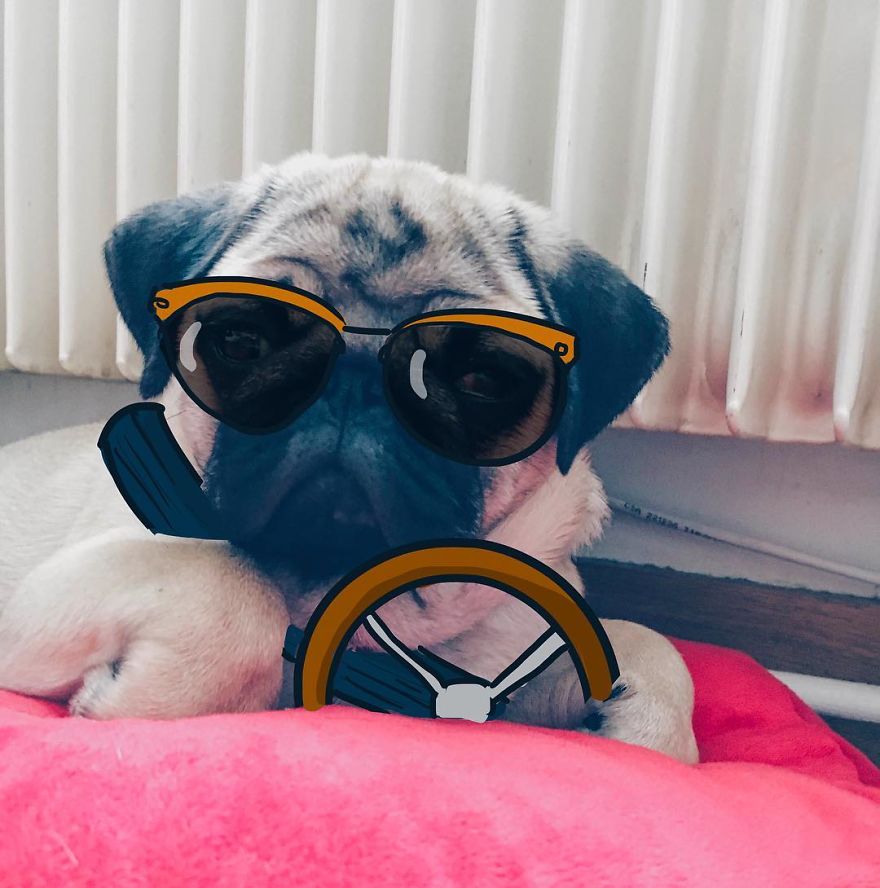 Casually Riding The Pink Pillow