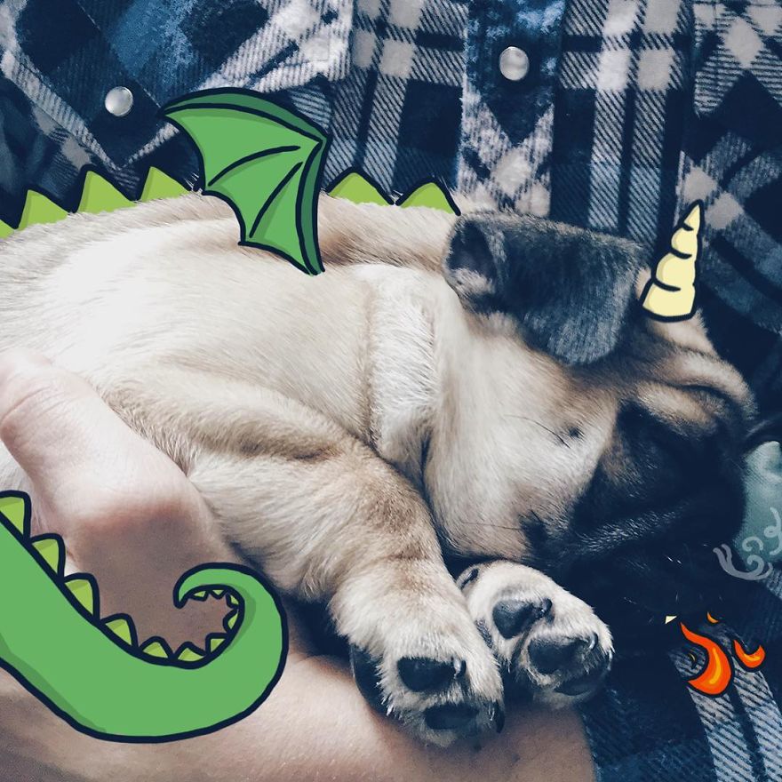 I'm A Dragon, Roaaar