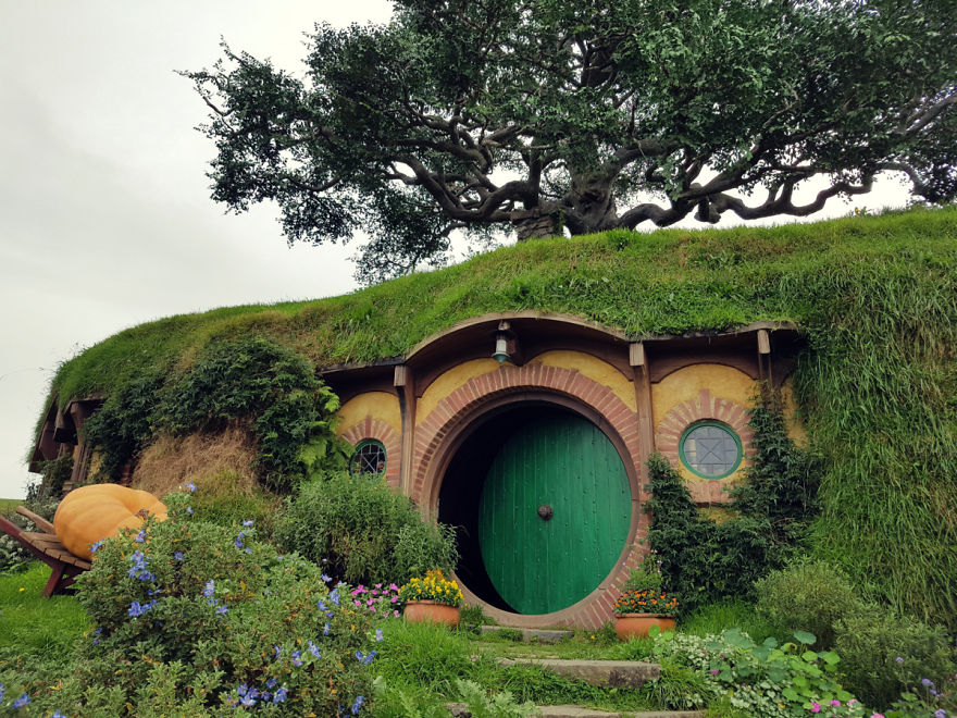 We Went To New Zealand And Made A Movie About Most Amazing 19 Days Of Our Lives We Went To New Zealand And Made A Movie About Most Amazing 19 Days Of Our Lives