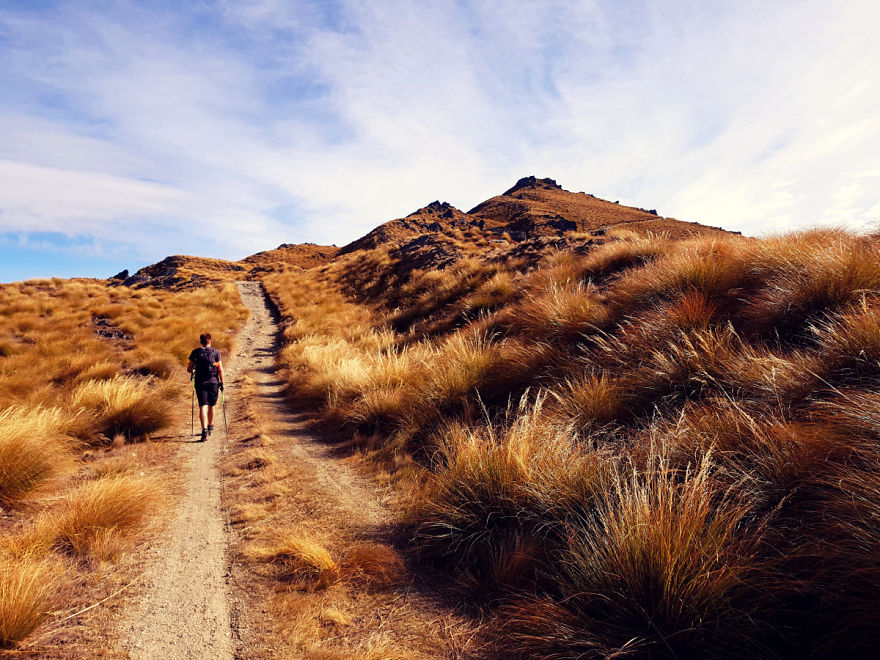 We Went To New Zealand And Made A Movie About Most Amazing 19 Days Of Our Lives