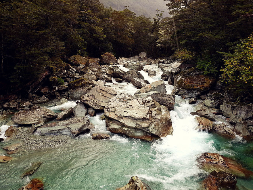 We Went To New Zealand And Made A Movie About Most Amazing 19 Days Of Our Lives