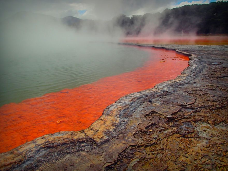 We Went To New Zealand And Made A Movie About Most Amazing 19 Days Of Our Lives