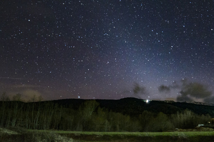 Crawler Of The Night Crawler Of The Night