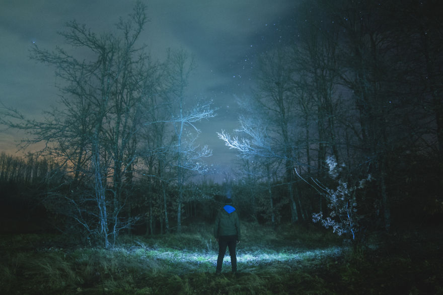 Crawler Of The Night