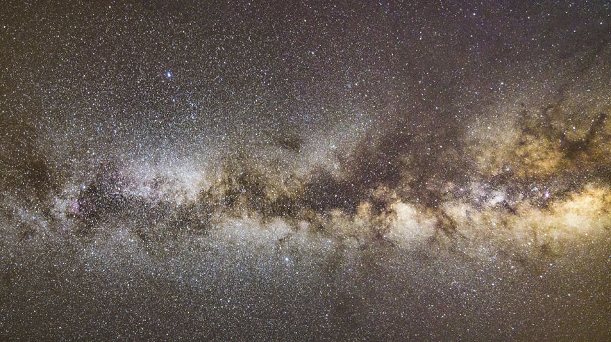 Crawler Of The Night