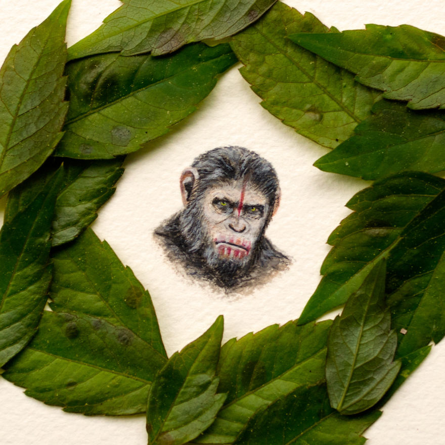 Caesar. A Gift For A Lady, Her Favorite Character From Planet Of The Apes