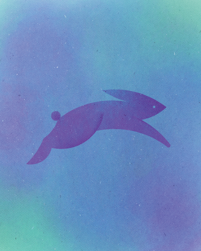 I Made 13 Animals Out Of 13 Perfect Circles