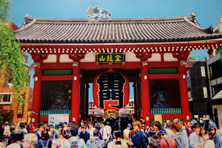 I Add Lazy Cats Stickers To Japanese Postcards