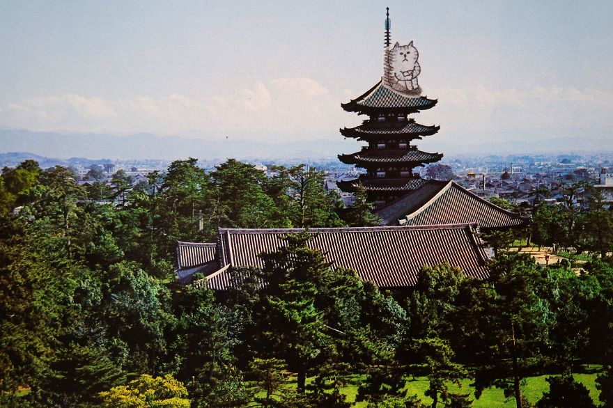 I Add Lazy Cats Stickers To Japanese Postcards I Add Lazy Cats Stickers To Japanese Postcards