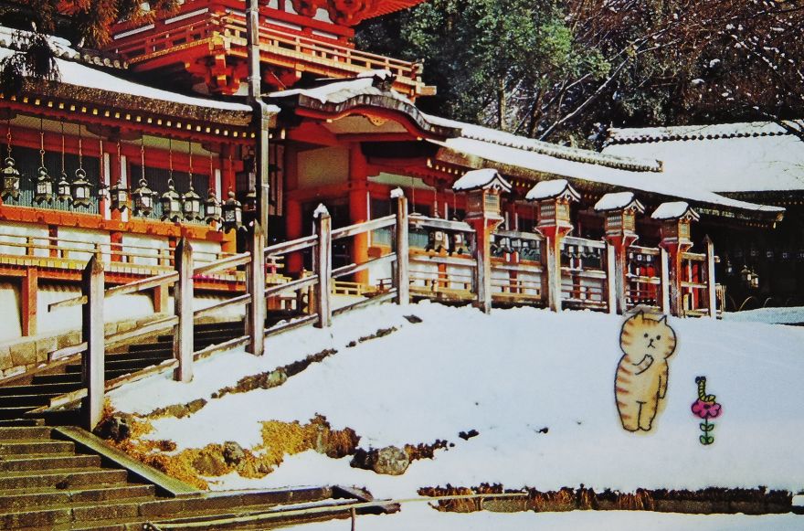 I Add Lazy Cats Stickers To Japanese Postcards I Add Lazy Cats Stickers To Japanese Postcards