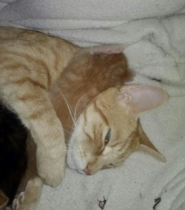 Always Loving On One Of The Babies.