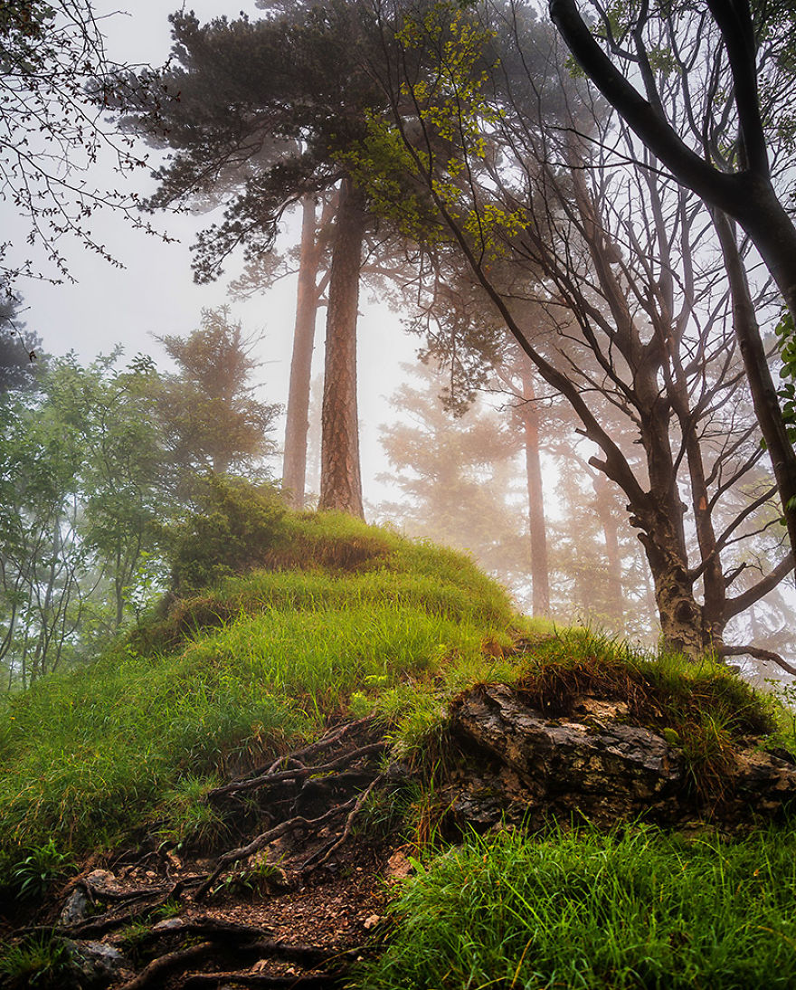 I Hiked To A Local Hill To Photograph A Foggy Morning I Hiked To A Local Hill To Photograph A Foggy Morning