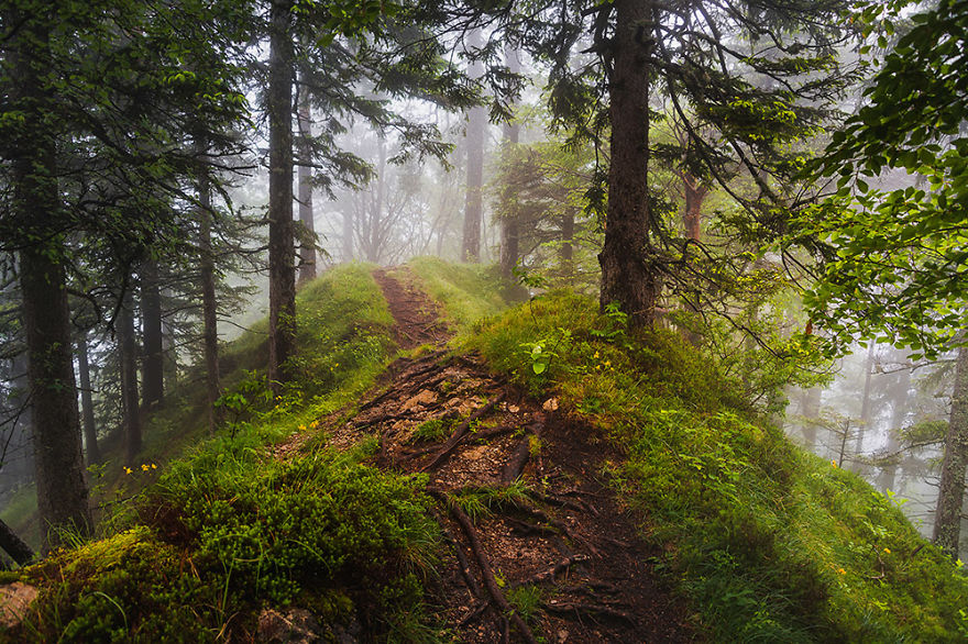 I Hiked To A Local Hill To Photograph A Foggy Morning I Hiked To A Local Hill To Photograph A Foggy Morning