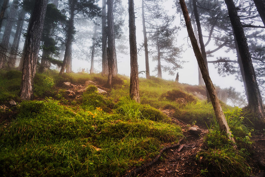 I Hiked To A Local Hill To Photograph A Foggy Morning