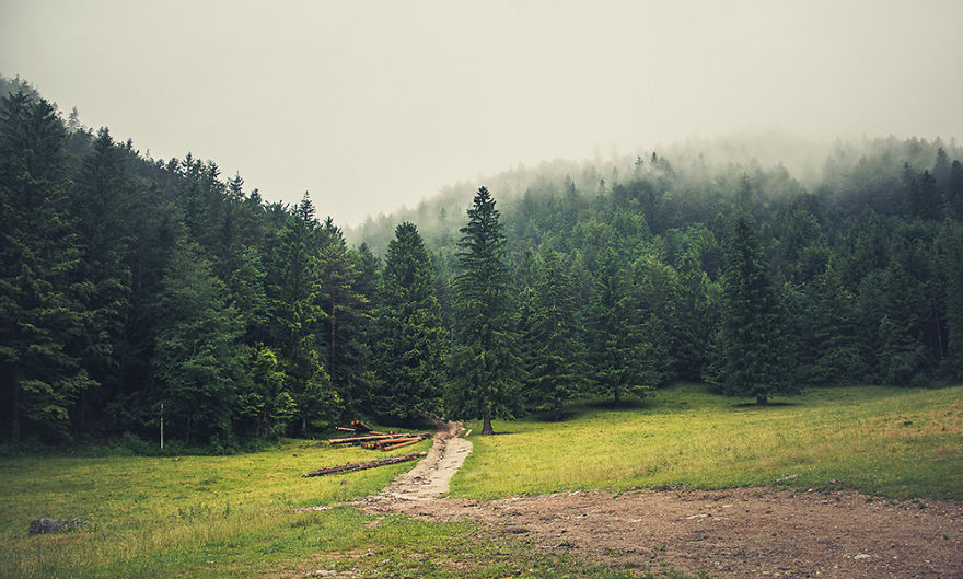 I Hiked To A Local Hill To Photograph A Foggy Morning I Hiked To A Local Hill To Photograph A Foggy Morning