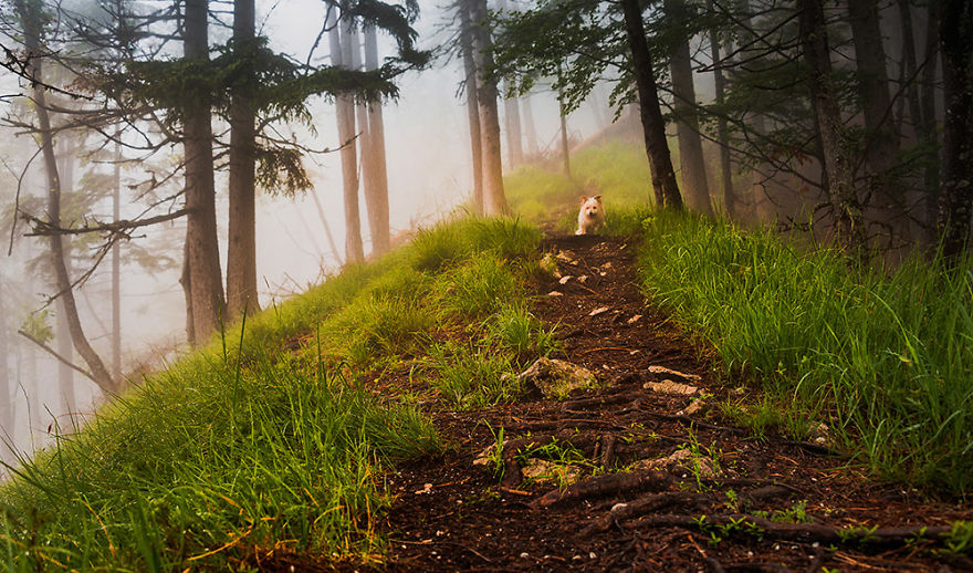 I Hiked To A Local Hill To Photograph A Foggy Morning I Hiked To A Local Hill To Photograph A Foggy Morning