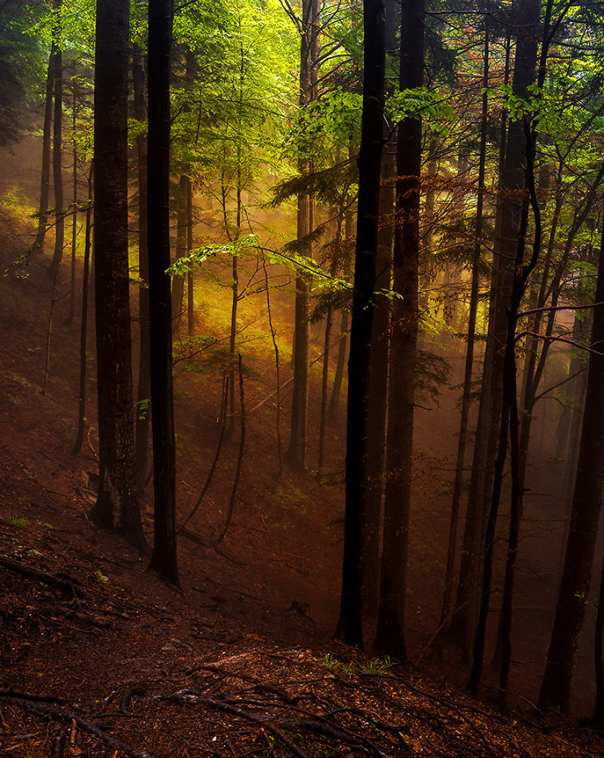 I Hiked To A Local Hill To Photograph A Foggy Morning I Hiked To A Local Hill To Photograph A Foggy Morning
