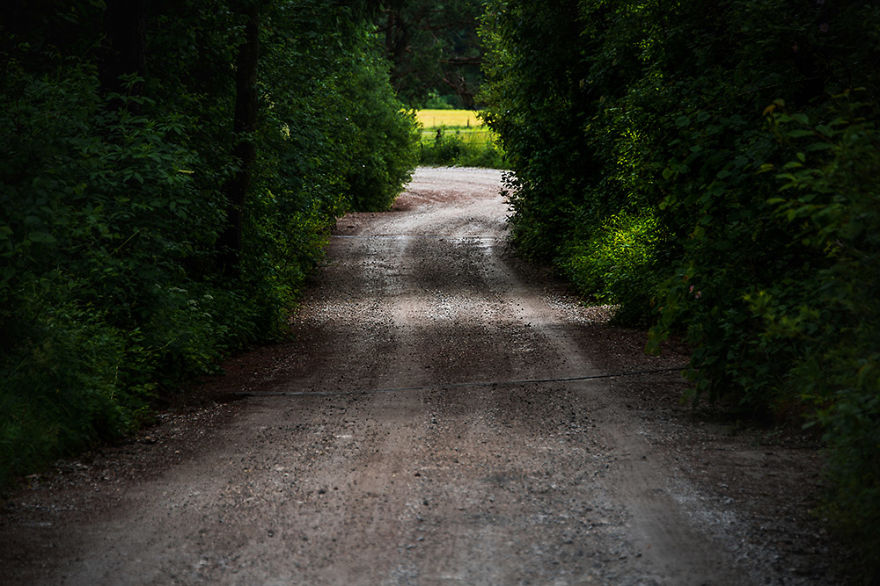 I Hiked To A Local Hill To Photograph A Foggy Morning I Hiked To A Local Hill To Photograph A Foggy Morning