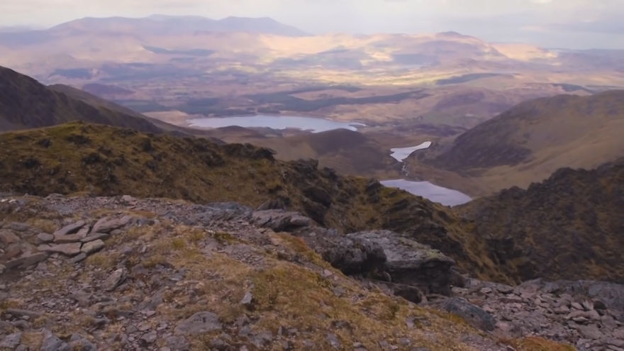 My Blind Rescue Cat Just Climbed Ireland’s Highest Mountain For Charity! My Blind Rescue Cat Just Climbed Ireland’s Highest Mountain For Charity!