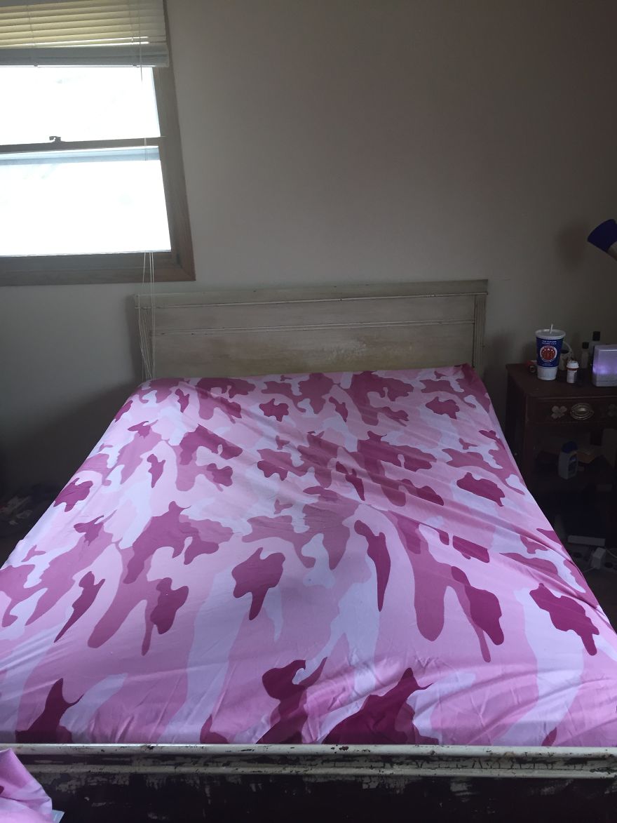 The Invinicible Cat The Invinicible Cat