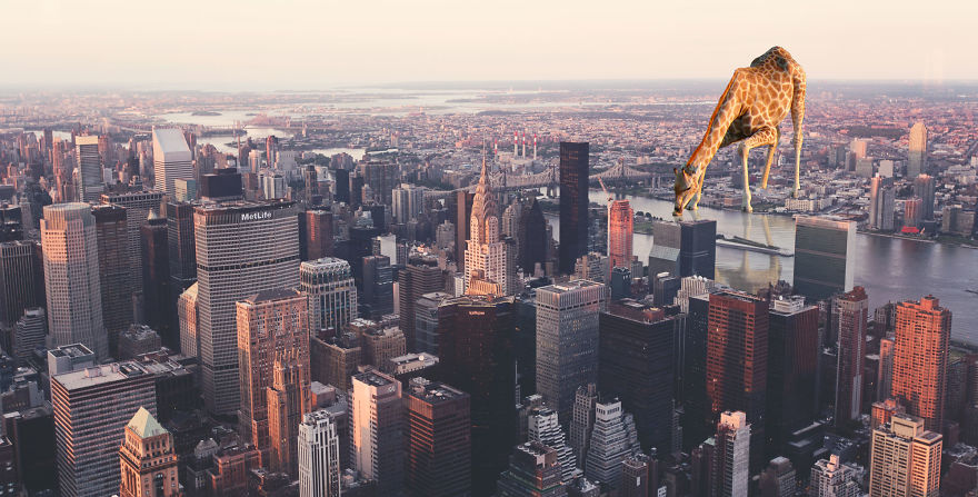 What If Enormous Animals Lived In Our Cities