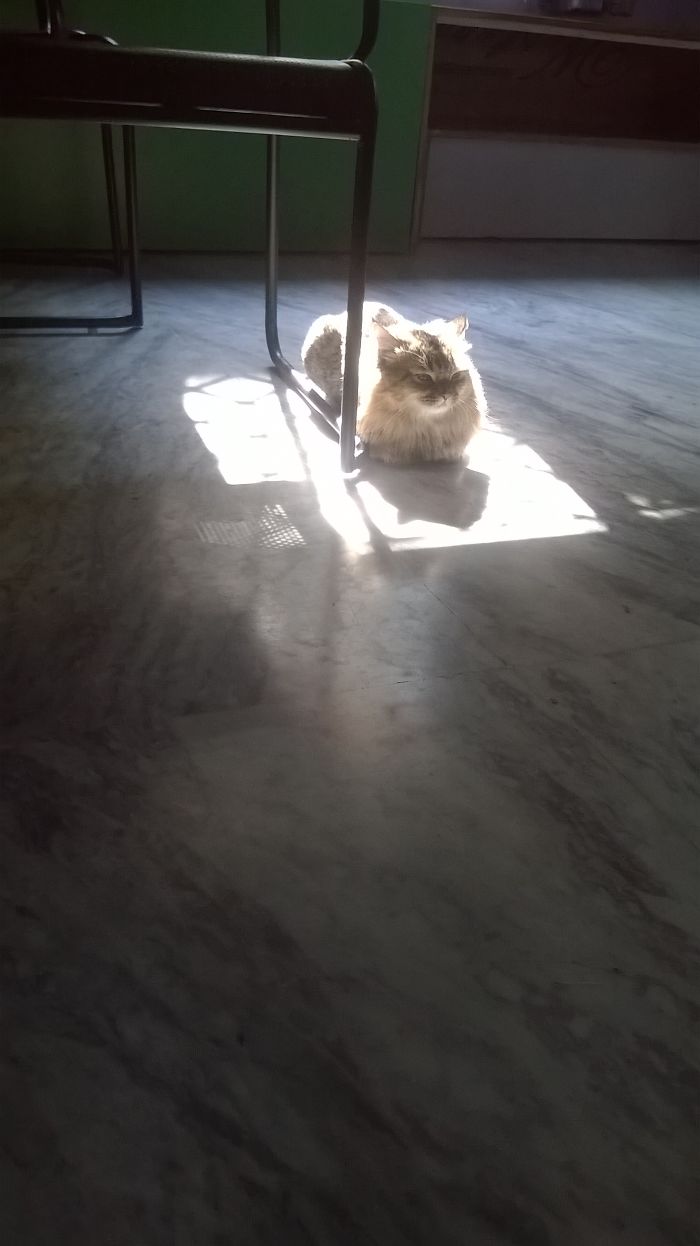 Patch Of Sunlight In The Middle Of The House : Detected.