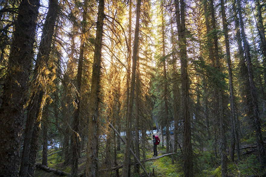 I Got Caught Up In The Magic Of Canada's Rocky Mountains I Got Caught Up In The Magic Of Canada's Rocky Mountains
