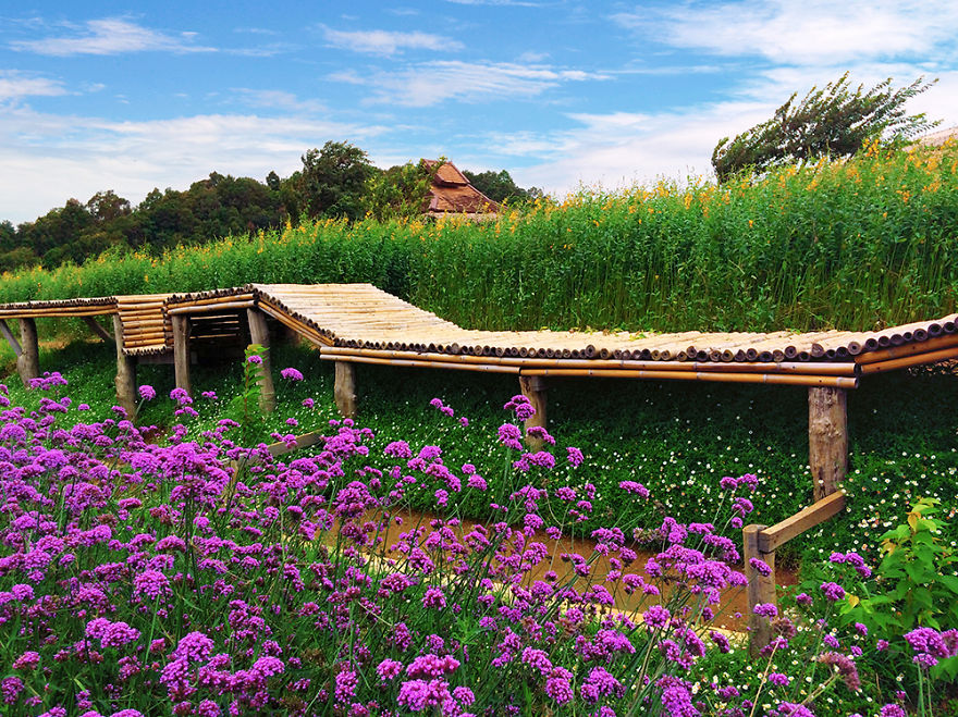 We Use Our Smartphones To Take Pictures Around Chiang Mai, Thailand