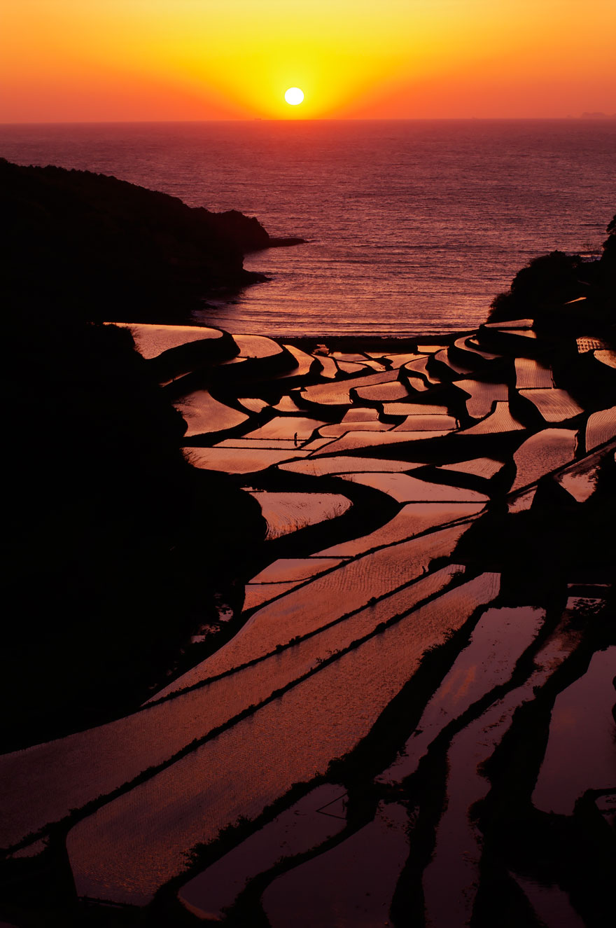Terraced Fields In Saga