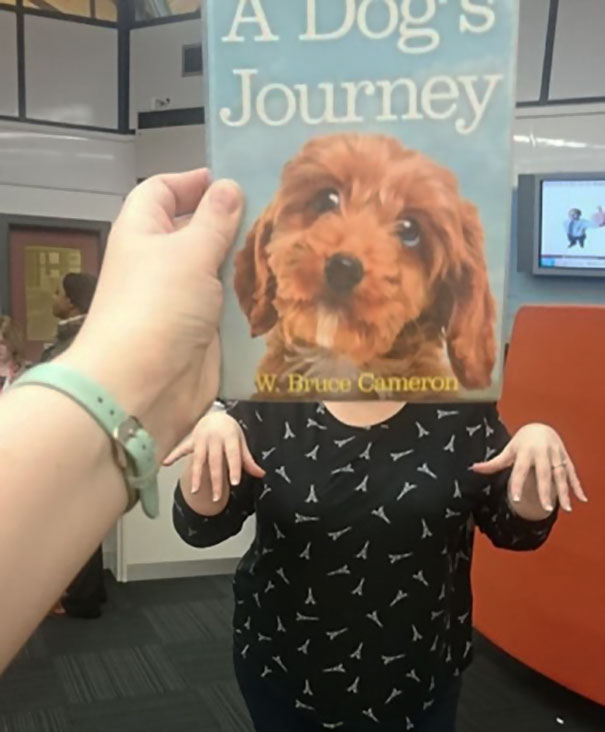 A Dog's Journey