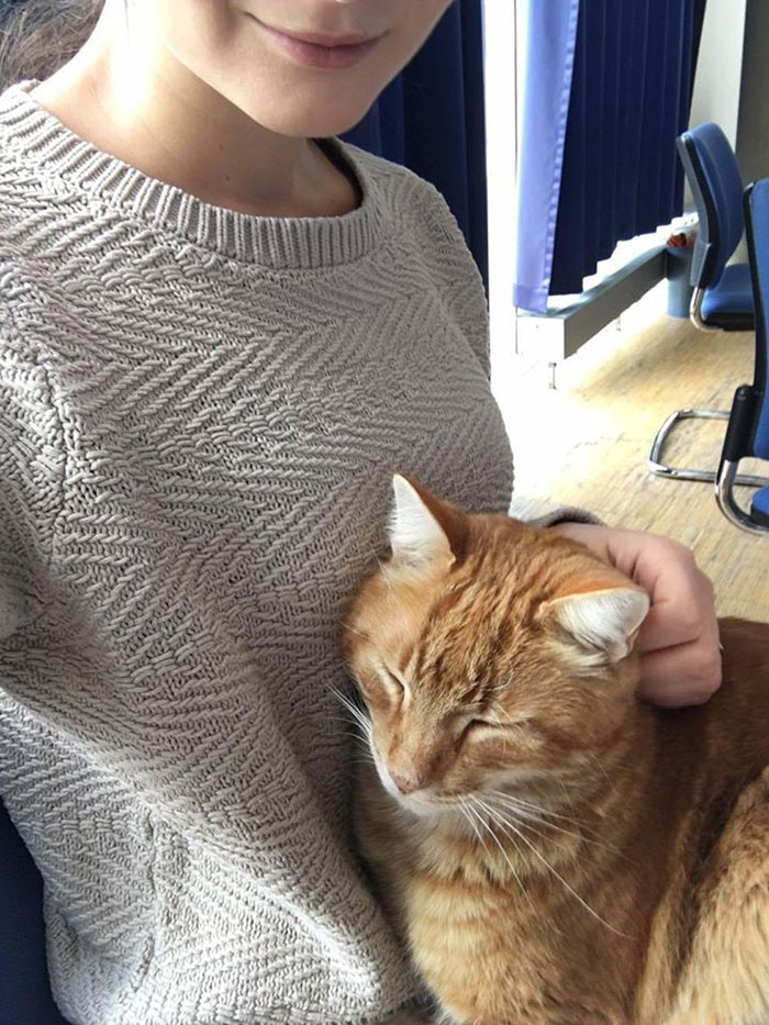 campus-cat-university-cuddles-augsburg-germany-15