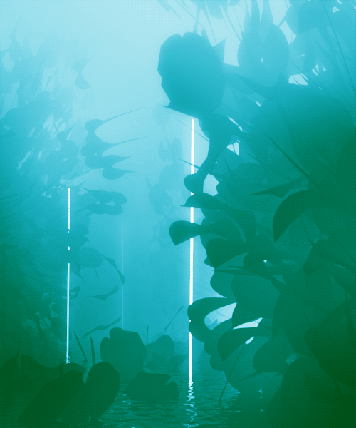 20+ Brilliant Gifs Will Brighten Your Day